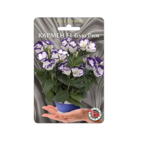 Эустома Кармен F1 Блю Рим горшечная  5шт_5_10