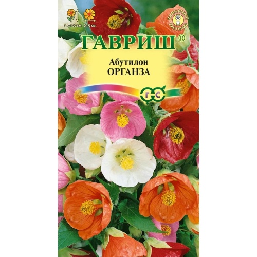 Абутилон Органза смесь 7шт_10