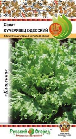 Салат Кучерявец Одесский п_кочанный  1гр_10_200