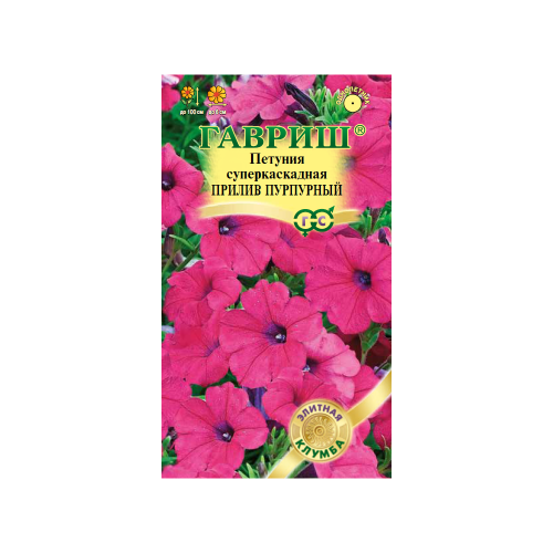 Петуния Прилив Пурпурный суперкаскадная  4шт_10