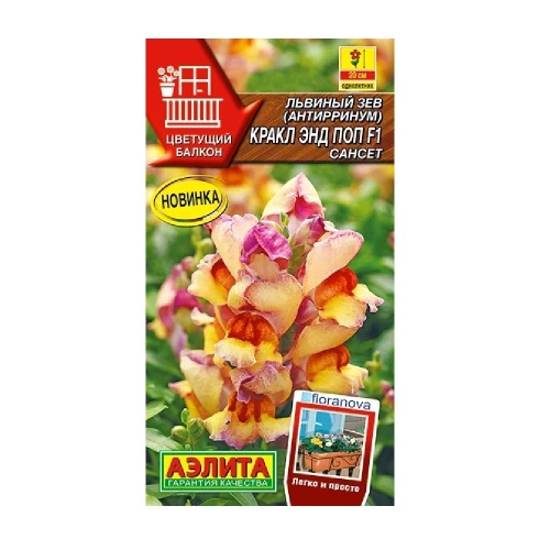 Львиный зев Кракл энд поп F1 сансет 7шт _10