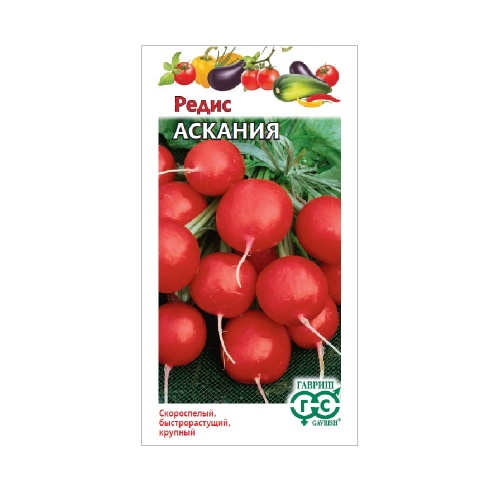 Редис Аскания  2гр_10