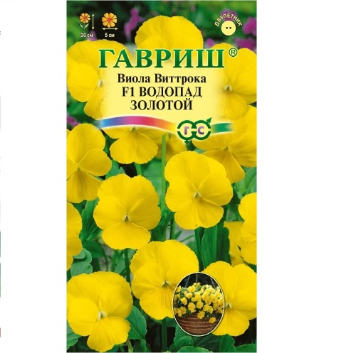 Виола Водопад золотой F1 ампельная  4шт_10