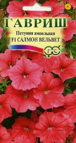 Петуния Салмон Вельвет ампельная  4шт_10