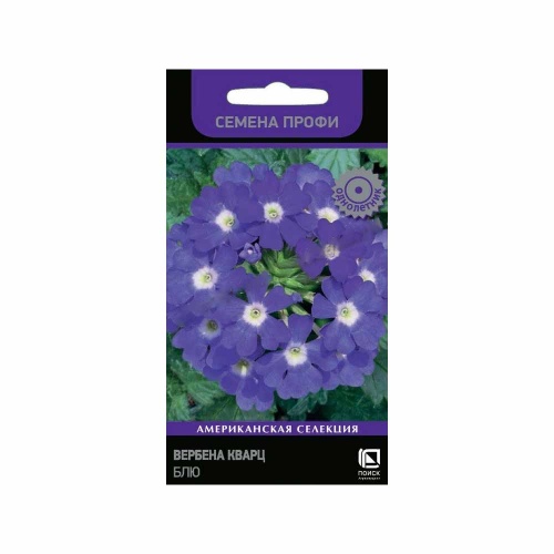 Вербена Кварц Блю  10шт_10