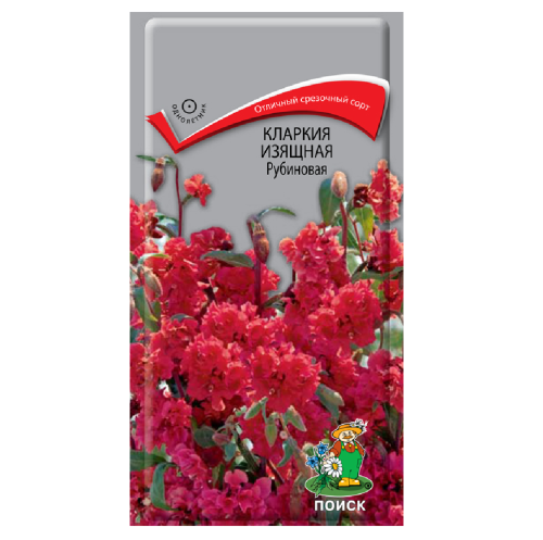 Кларкия изящная Рубиновая  0_2гр_10