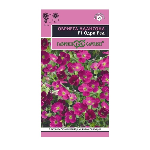 Обриета Одри Ред F1 10 шт_10