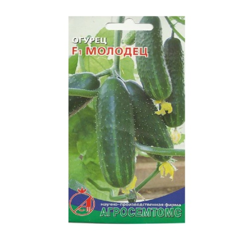 Огурец Молодец  8шт_10_50
