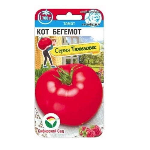 Томат Кот Бегемот   20шт_10