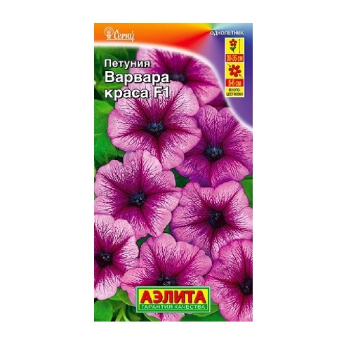 Петуния Варвара Краса F1 многоцветковая  7шт_10