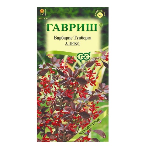 Барбарис Тунберга Алекс  0_2гр_10