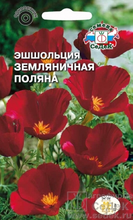 Эшшольция земляничная поляна  0_2гр_10