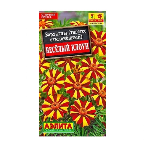 Бархатцы Веселый клоун отклонённые  0_1гр_10