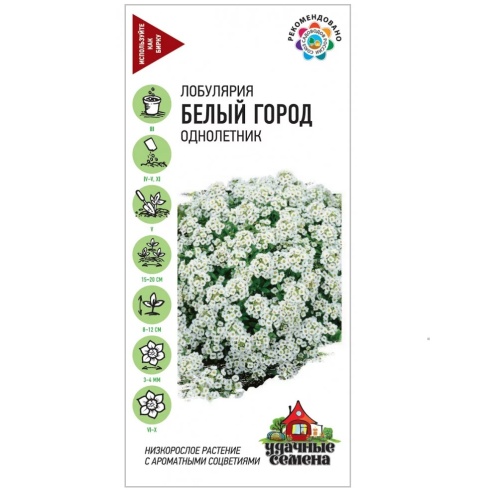 Лобулярия Белый город_Удачные семена  0_0_5гр_10