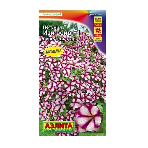 Петуния Изи вейв бургунди стар F1 4шт_10