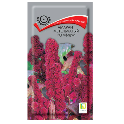 Амарант метельчатый Ред Кафедрал  0_1гр_10