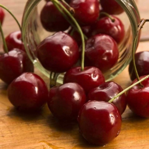 Вишня Алухтинская 1шт