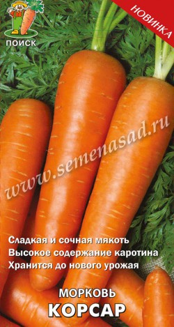 Морковь Корсар  2гр _10
