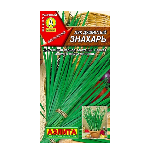 Лук душистый Знахарь 0_5гр  _10