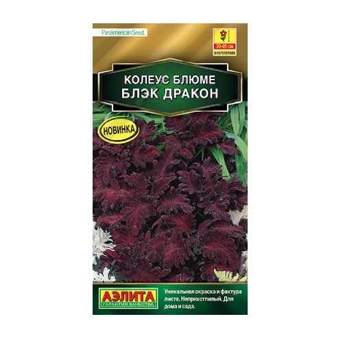 Колеус Блюме Блэк дракон 5шт_10