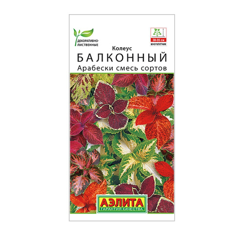 Колеус балконный Арабески смесь сортов 5шт_10