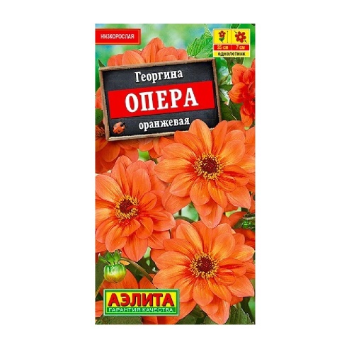 Георгина Опера оранжевая 7шт_10