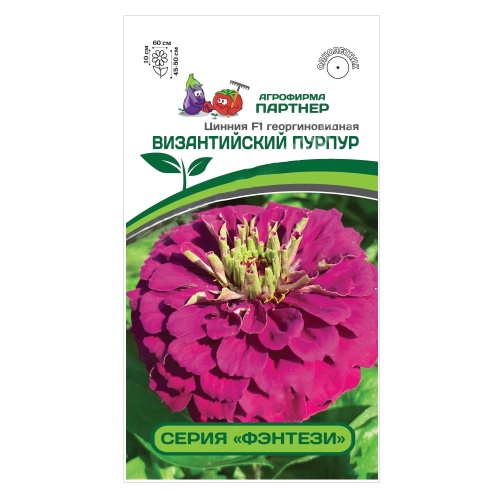 Цинния Византийский пурпур F1  4шт_10