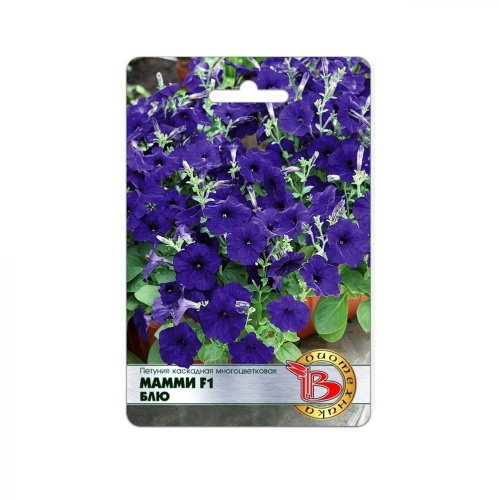 Петуния Мамми F1 Блю каскадная многоцветковая  5шт_5_10