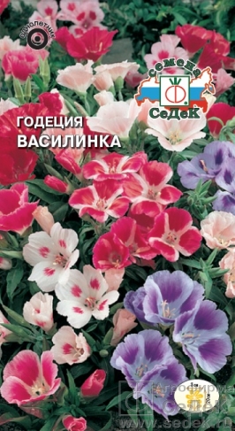 Годеция Василинка карликовая крупноцветковая смесь  0_15гр_10