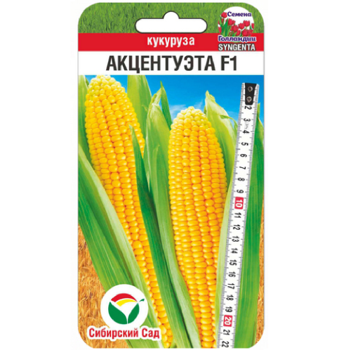 Кукуруза Акцентуэта F1 5шт_10