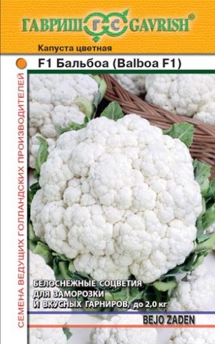 Капуста цветная Балбоа F1  10шт_10