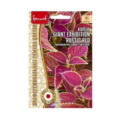Колеус Giant Exhibition Rustic Red 3шт_10