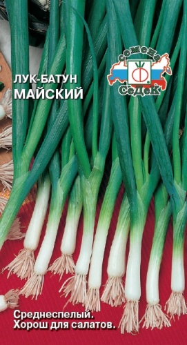 Лук батун Майский  1гр_10