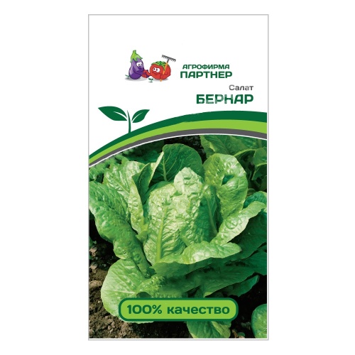 Салат Бернар кочанный  0_5гр_10