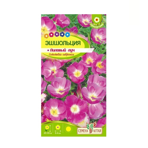 Эшшольция Лиловый луч  0_1-0_2гр_10