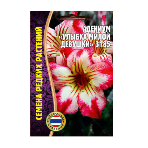 Адениум Улыбка Милой Девушки 3шт_10