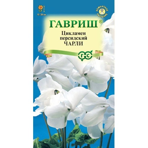 Цикламен Чарли персидский  3шт_10