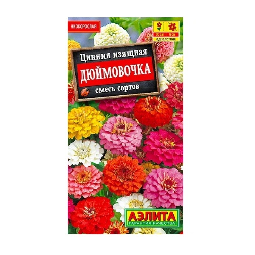 Цинния Дюймовочка 0_3гр  _10