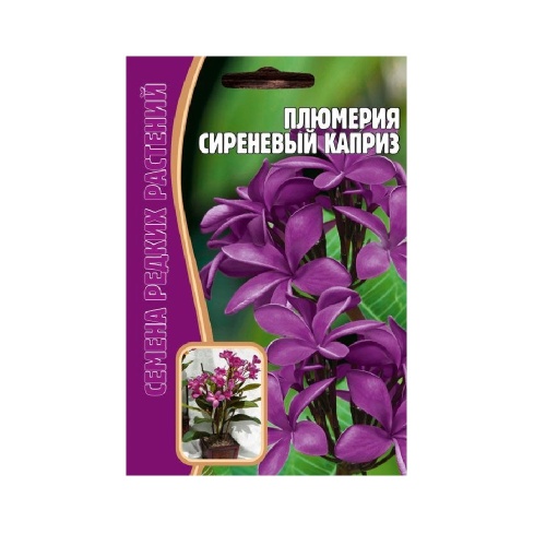 Плюмерия Сиреневый Каприз  3шт_10