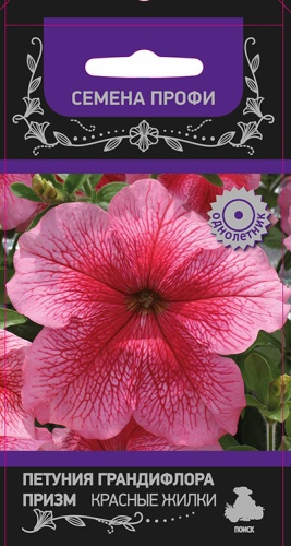 Петуния Призм Красные жилки грандифлора  30шт_10