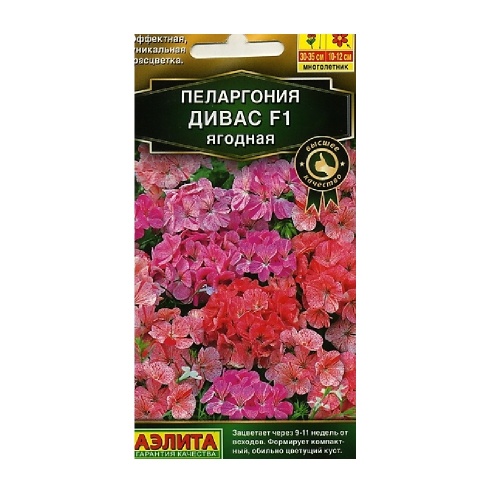 Пеларгония Дивас Ягодная смесь F1 3шт  _10
