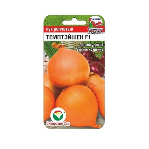 Лук репчатый Темптэйшен F1  100шт_10