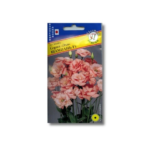 Эустома Эхо Шампань F1  10др_10