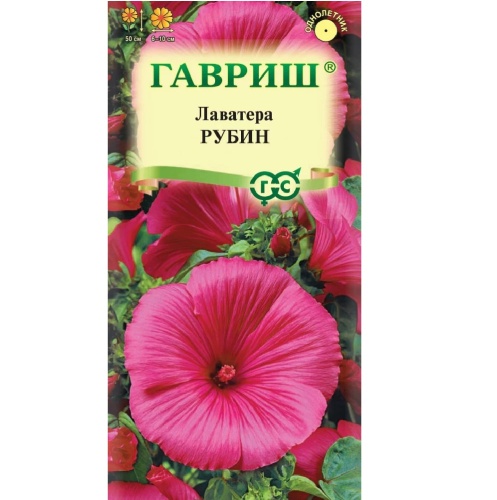 Лаватера Рубин  0_3гр_10