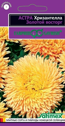 Астра Хризантелла Золотой восторг  0_05гр_10