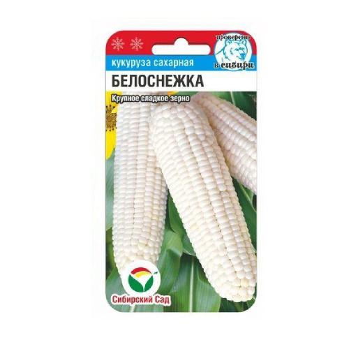 Кукуруза Белоснежка  10шт_10