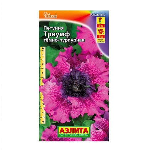 Петуния Триумф темно-пурпурная крупноцветковая  7шт_10