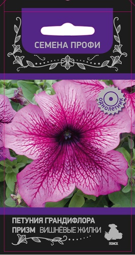 Петуния Призм Вишнёвые жилки грандифлора  30шт_10