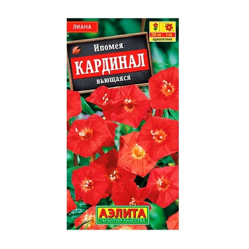 Ипомея Кардинал вьющаяся  0_5гр_10