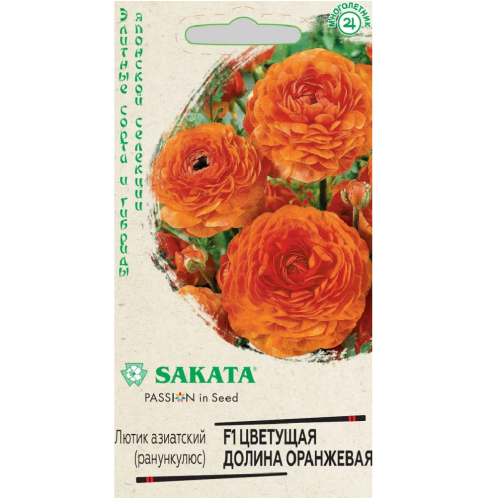 Ранункулюс Цветущая долина оранжевая F1 3шт_10